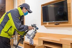 如何選擇優(yōu)質(zhì)的除甲醛公司？